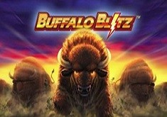 Buffalo Blitz™
